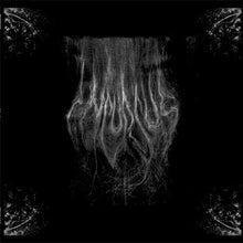 Load image into Gallery viewer, Incursus - Adaestuo 12"MLP