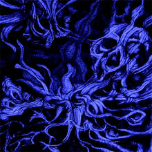 Load image into Gallery viewer, Esoterica - Aseity CD