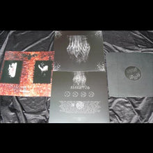 Load image into Gallery viewer, Incursus - Adaestuo 12"MLP