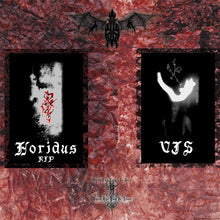 Load image into Gallery viewer, Incursus - Adaestuo 12"MLP