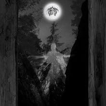 Load image into Gallery viewer, Taatsi - Amidst The Trees CD