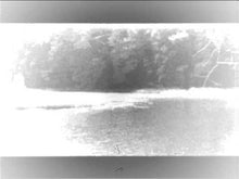 Load and play video in Gallery viewer, Darkest Grove - Coming Of 2012 Digi CD