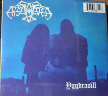Load image into Gallery viewer, Satyricon / Enslaved (The Forest Is My Throne / Yggdrasil) split DIGI CD
