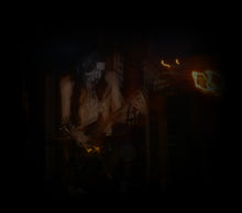 Load image into Gallery viewer, Incursus - Adaestuo 12&quot;MLP

