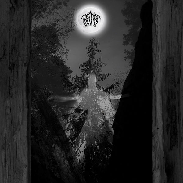 Taatsi - Amidst The Trees CD